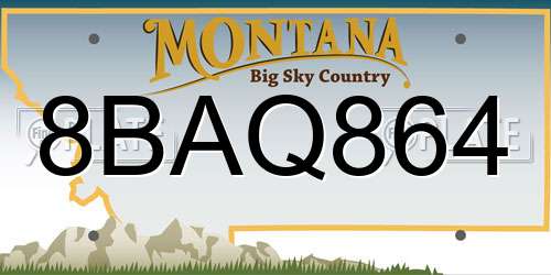8BAQ864 Montana License Plate