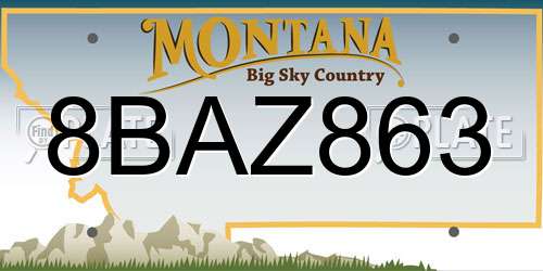 8BAZ863 Montana License Plate