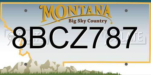 8BCZ787 Montana License Plate
