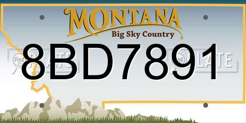 8BD7891 Montana License Plate