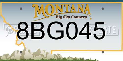 8BG045 Montana License Plate