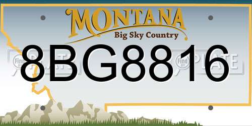8BG8816 Montana License Plate