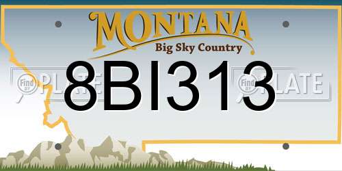 8BI313 Montana License Plate