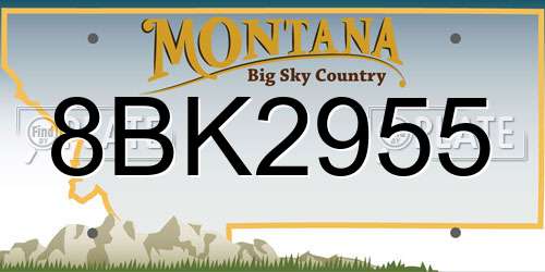 8BK2955 Montana License Plate