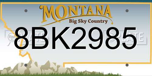 8BK2985 Montana License Plate