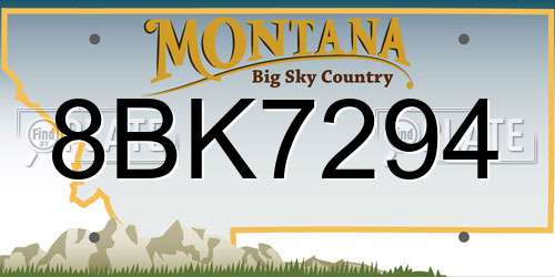 8BK7294 Montana License Plate