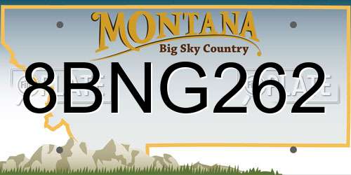 8BNG262 Montana License Plate