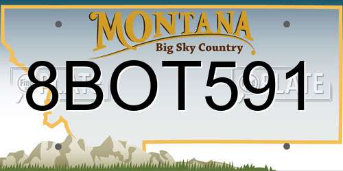 8BOT591 Montana License Plate