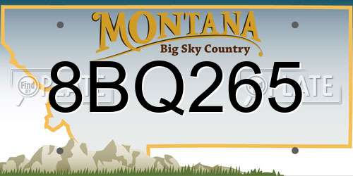 8BQ265 Montana License Plate