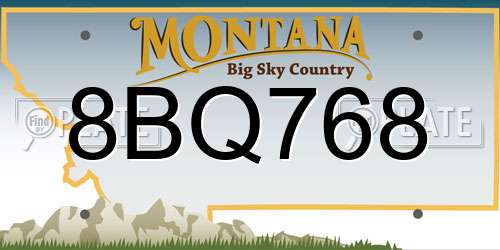 8BQ768 Montana License Plate