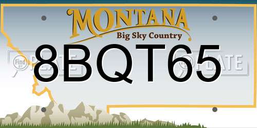 8BQT65 Montana License Plate
