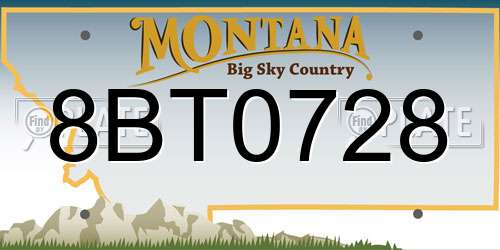 8BT0728 Montana License Plate