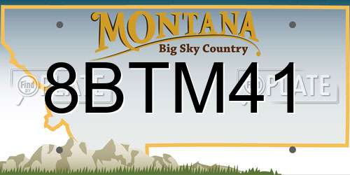 8BTM41 Montana License Plate