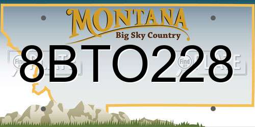 8BTO228 Montana License Plate