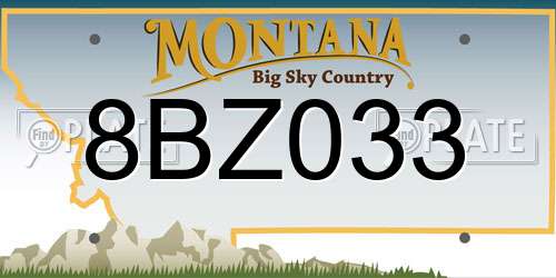 8BZ033 Montana License Plate