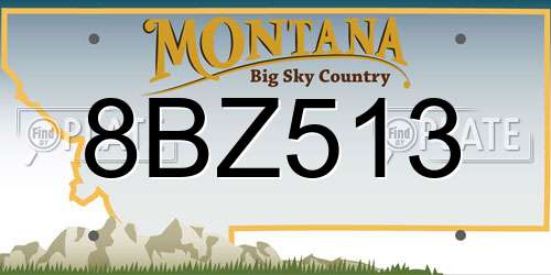 8BZ513 Montana License Plate