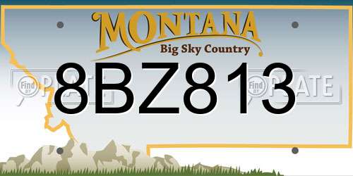 8BZ813 Montana License Plate
