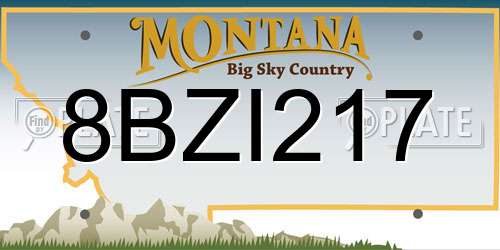 8BZI217 Montana License Plate