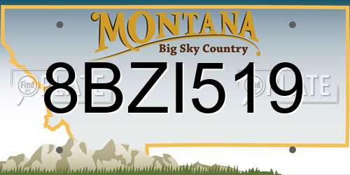 8BZI519 Montana License Plate