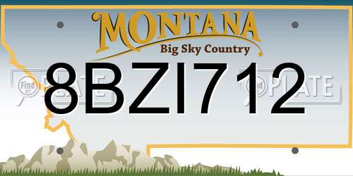 8BZI712 Montana License Plate
