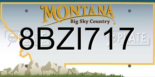 8BZI717 Montana License Plate