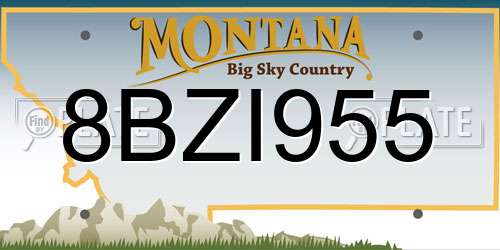 8BZI955 Montana License Plate