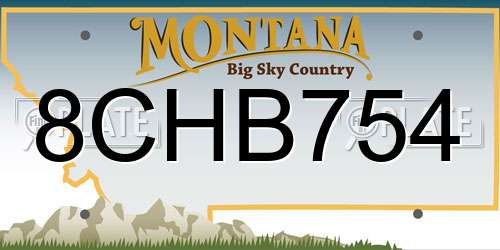 8CHB754 Montana License Plate