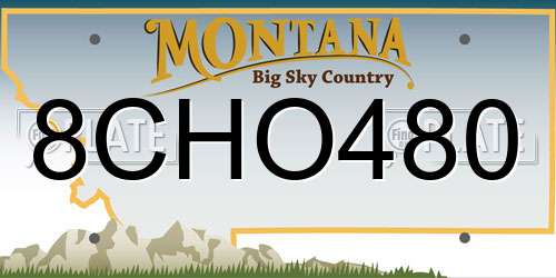 8CHO480 Montana License Plate