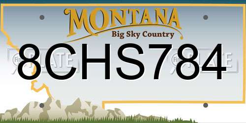 8CHS784 Montana License Plate