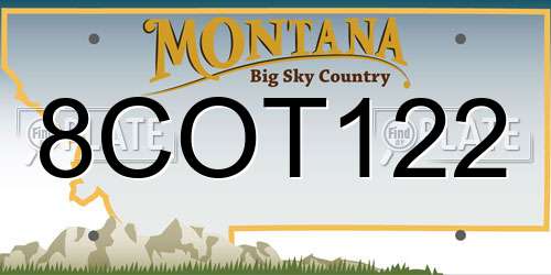 8COT122 Montana License Plate