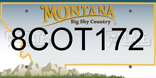 8COT172 Montana License Plate