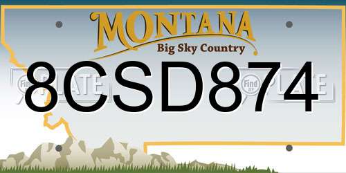 8CSD874 Montana License Plate