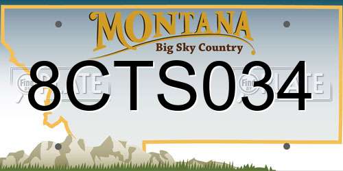 8CTS034 Montana License Plate