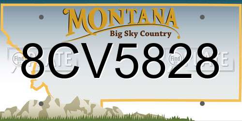 8CV5828 Montana License Plate