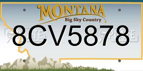 8CV5878 Montana License Plate