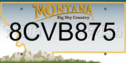 8CVB875 Montana License Plate