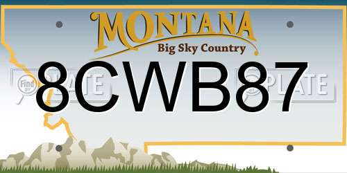 8CWB87 Montana License Plate