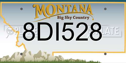 8DI528 Montana License Plate