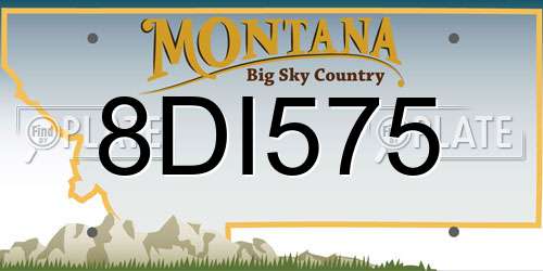 8DI575 Montana License Plate
