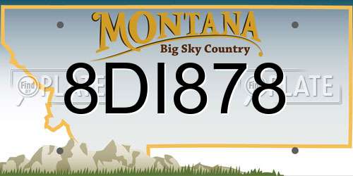 8DI878 Montana License Plate