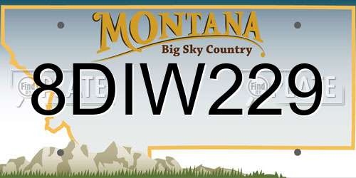 8DIW229 Montana License Plate