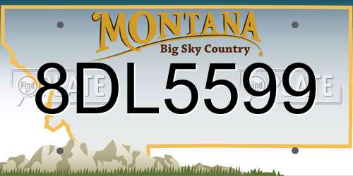 8DL5599 Montana License Plate
