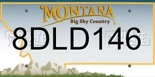 8DLD146 Montana License Plate