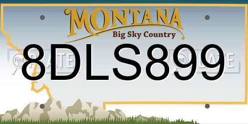 8DLS899 Montana License Plate