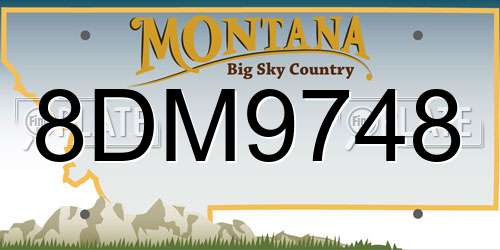 8DM9748 Montana License Plate