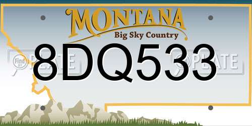 8DQ533 Montana License Plate