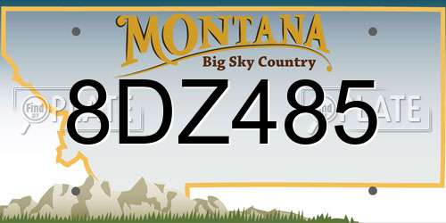 8DZ485 Montana License Plate