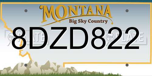 8DZD822 Montana License Plate