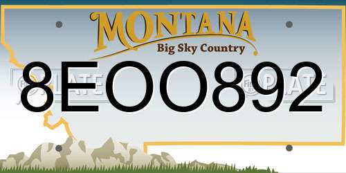 8EOO892 Montana License Plate