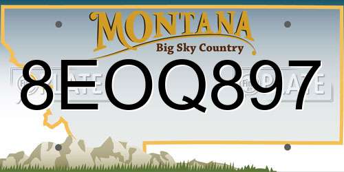 8EOQ897 Montana License Plate